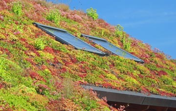 Rodbridge Corner living roof systems